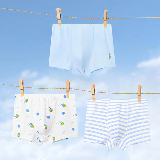 【雅兰特】男童内裤1条装/3条装 商品图2