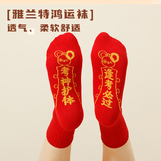 【买1送1】【雅兰特&鸿运袜】新年好运学生红袜子 商品图3