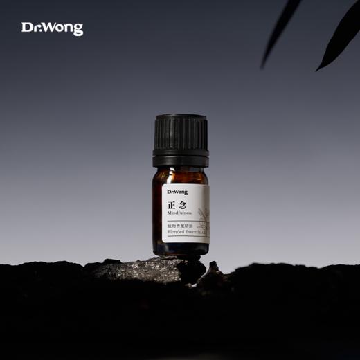「正念」植物香薰精油 商品图4