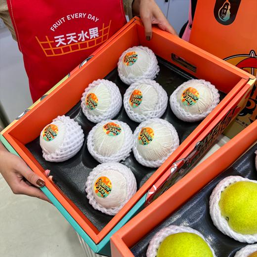 嘻嘻农业玉露香梨 今年新梨 礼盒装 商品图7