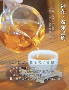 源频岛屿 · 岛民活动