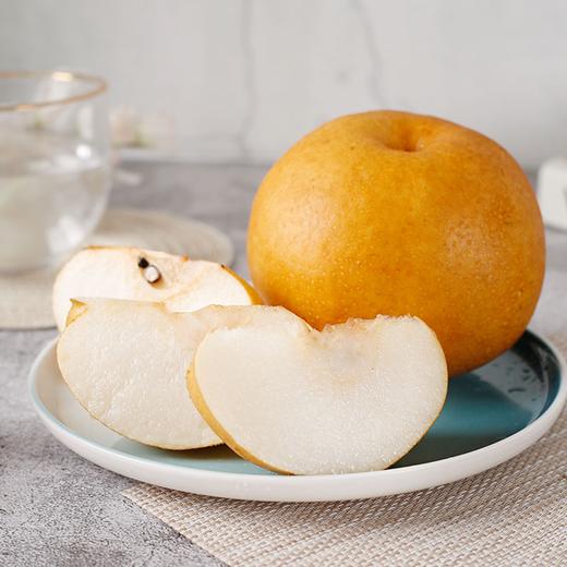  【秋月梨】酥脆爽口 冰糖甜无渣 皮薄肉厚 新鲜水果！ 商品图1