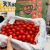 蕃老大红千禧小番茄 商品缩略图4