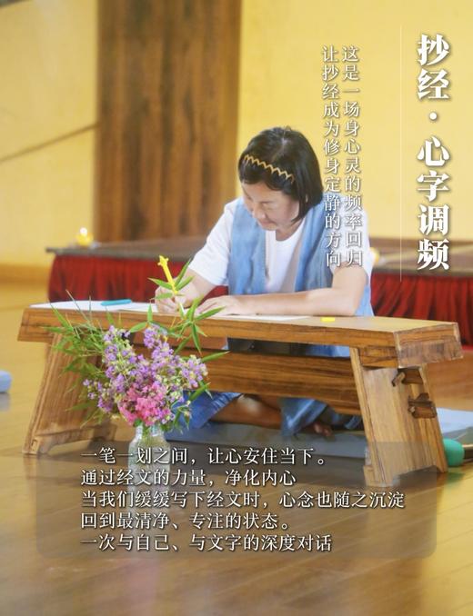 源频岛屿 · 岛民活动 商品图8