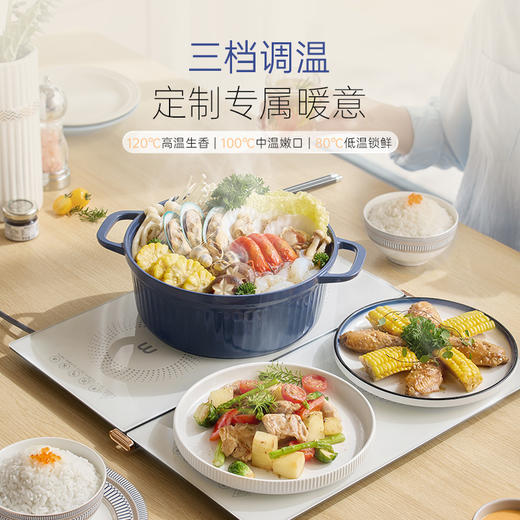 摩飞折叠
暖菜板MR8309 商品图0