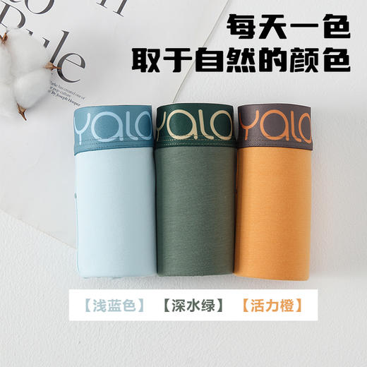 【雅兰特】少男内裤1条装/3条装 商品图3