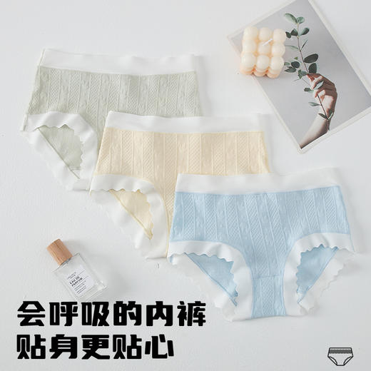 【雅兰特】少女内裤1条装/3条装 商品图1