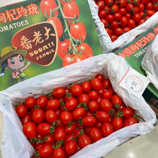 蕃老大红千禧小番茄 商品图12