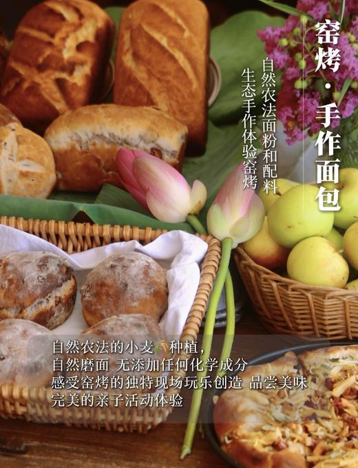 源频岛屿 · 岛民活动 商品图4