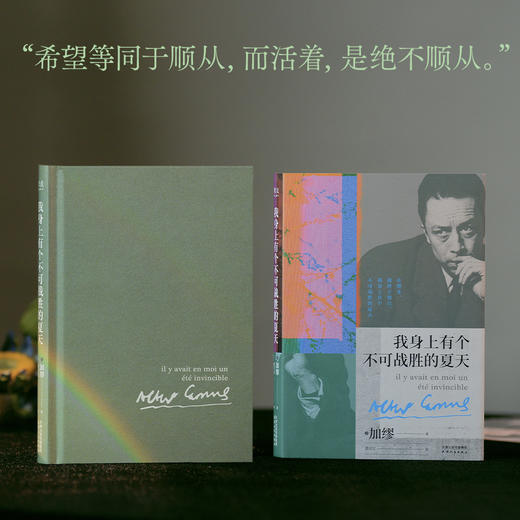 我身上有个不可战胜的夏天 加缪散文集 商品图4
