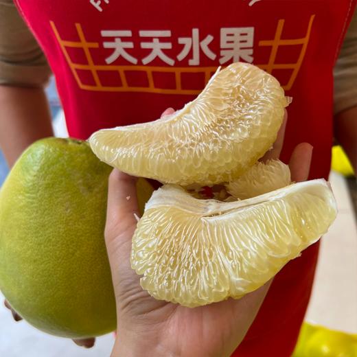 本地东试早 柚子 泡果 商品图3