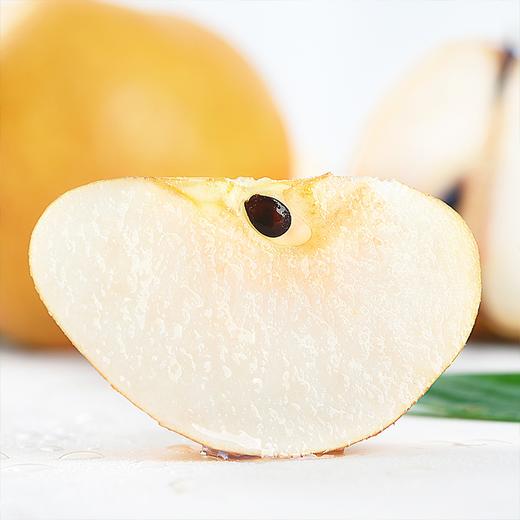  【秋月梨】酥脆爽口 冰糖甜无渣 皮薄肉厚 新鲜水果！ 商品图5