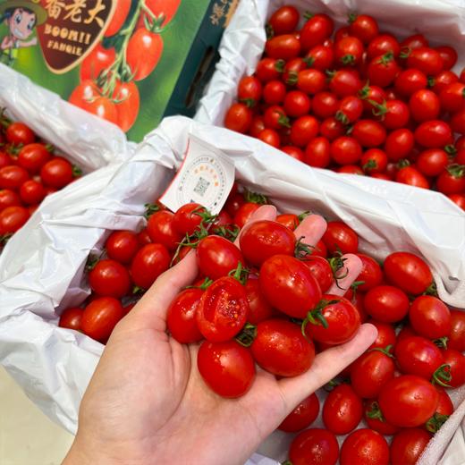 蕃老大红千禧小番茄 商品图5