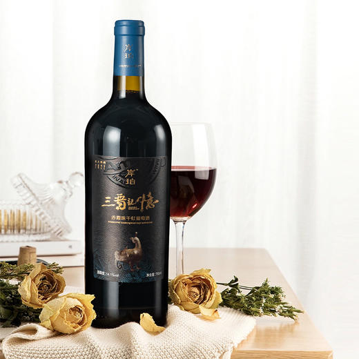 岸珀三晋记忆窨主珍藏2022赤霞珠干红葡萄酒 商品图3