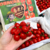 蕃老大红千禧小番茄 商品缩略图3