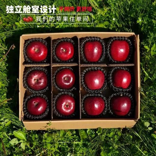 香格里拉丹霞苹果礼盒 （快递发货） 商品图0