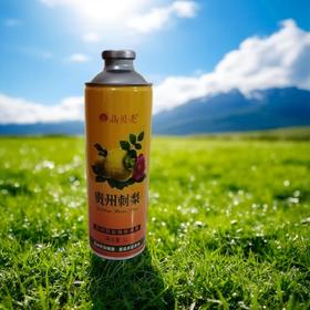 晶贝壳贵州刺梨精酿啤酒1L