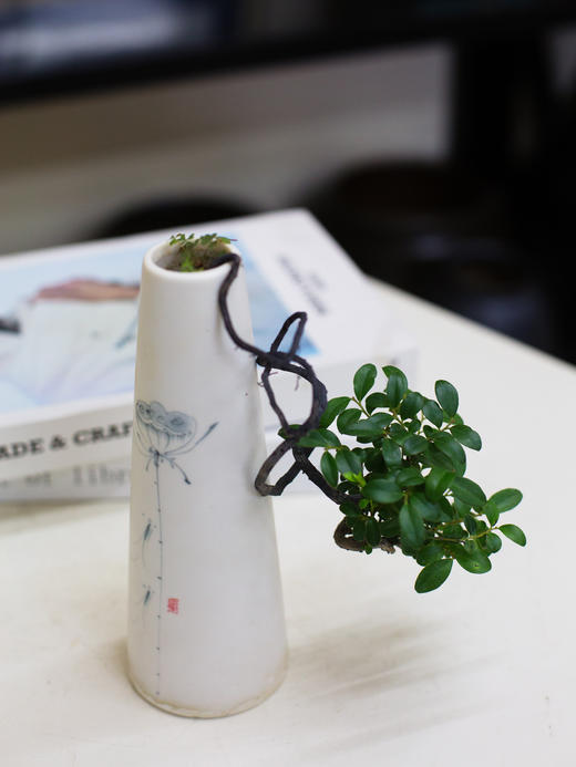 小叶紫檀 商品图0