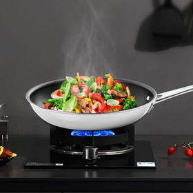 西兰宝尊贵系列多层钢不粘煎盘 20cm×3.6cm