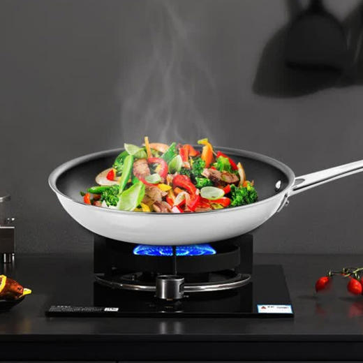 西兰宝尊贵系列多层钢不粘煎盘 20cm×3.6cm 商品图0