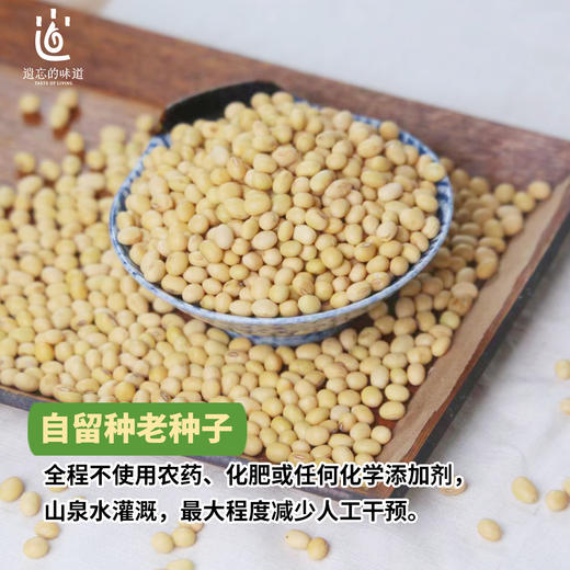 【2025新粮】黄豆 500g 商品图1