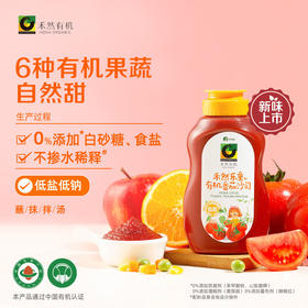 禾然乐童  有机番茄沙司  320g