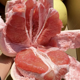 甜果源源 福建红心蜜柚