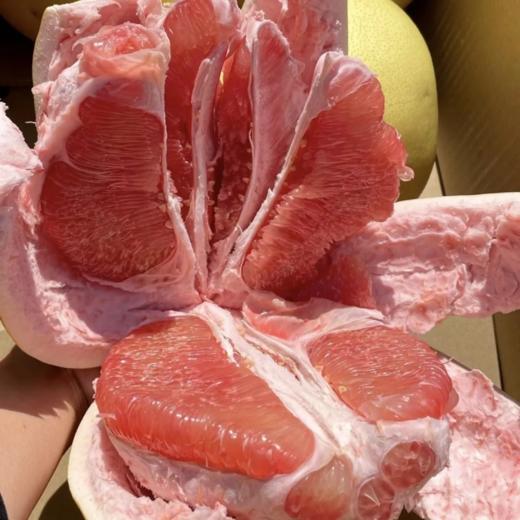 甜果源源 福建红心蜜柚 商品图0