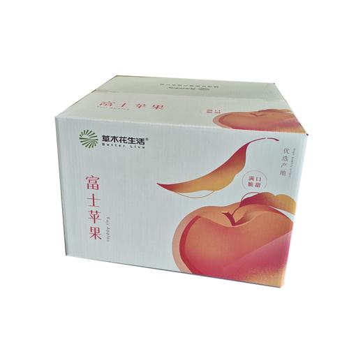 洛川富士苹果4.5kg 商品图2