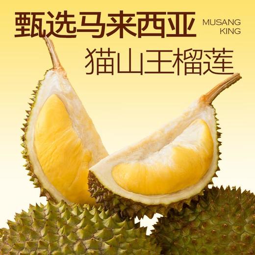 榴芒一刻 猫山王冰淇淋 8杯装 商品图1