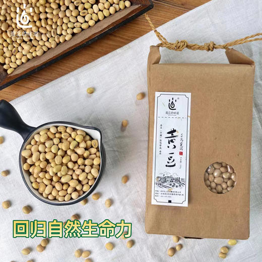 【2025新粮】黄豆 500g 商品图2