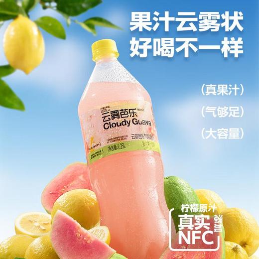 柠檬共和国 复合气泡果汁到手1.25L*6瓶装 饮料大容量 商品图2