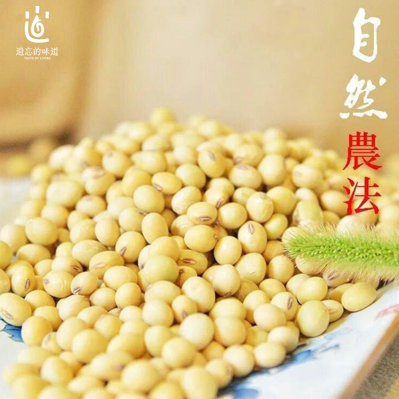 【2025新粮】黄豆 500g