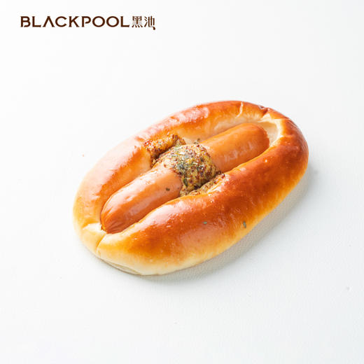 （4月8日起送）美式香肠软包 商品图0