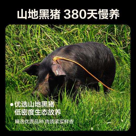 网易严选黑猪猪骨猪肋  500g*4 商品图2