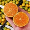 甜果源源 四川无籽蜜桔 商品缩略图3