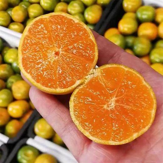 甜果源源 四川无籽蜜桔 商品图3
