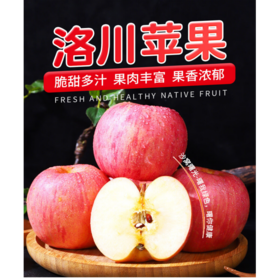 洛川富士苹果4.5kg