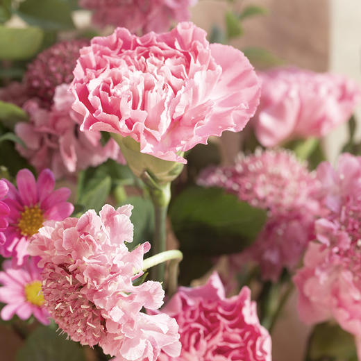 天秤座4款幸运花束｜十二星座随心定制系列 商品图6