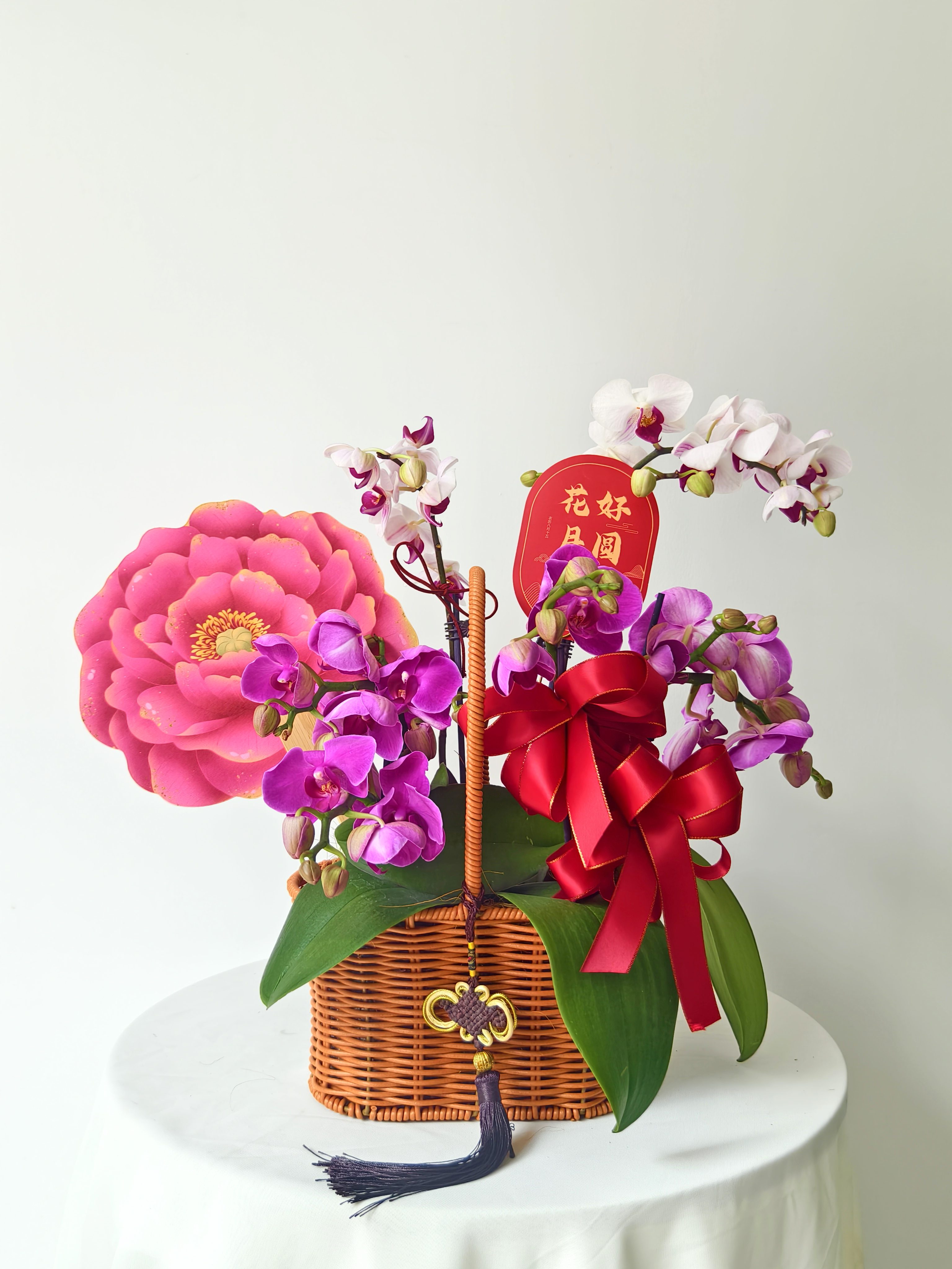 中秋节蝴蝶兰/288