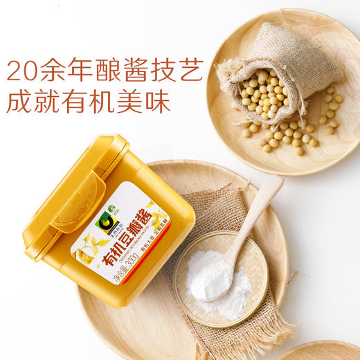禾然有机 豆瓣酱/新/盒装  300g 商品图3