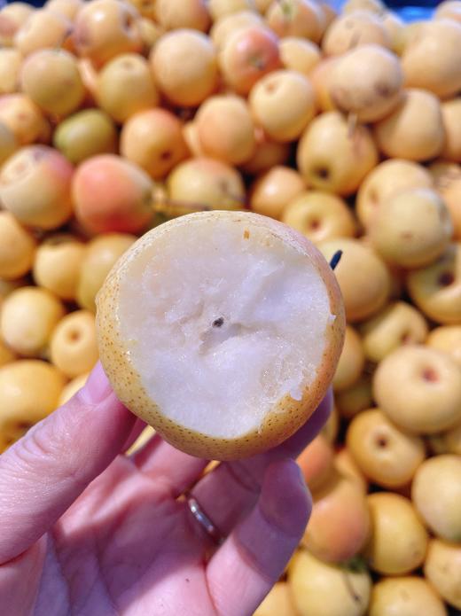 大众南果梨2斤 商品图2