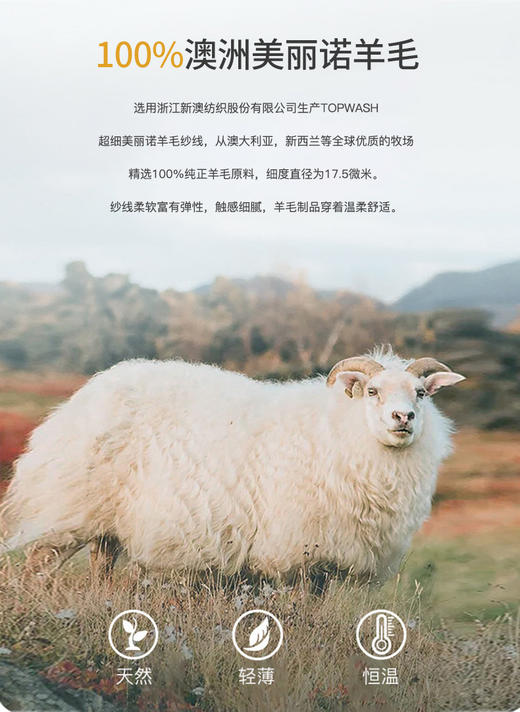 现货 臣禾	【重逢条纹衫】可机洗100%澳洲美丽诺羊毛套头针织衫	JZ253090775 商品图13