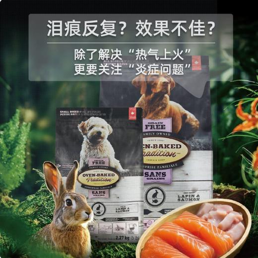 欧恩焙兔肉鲑鱼低温烘焙进口比熊小型犬粮 商品图0