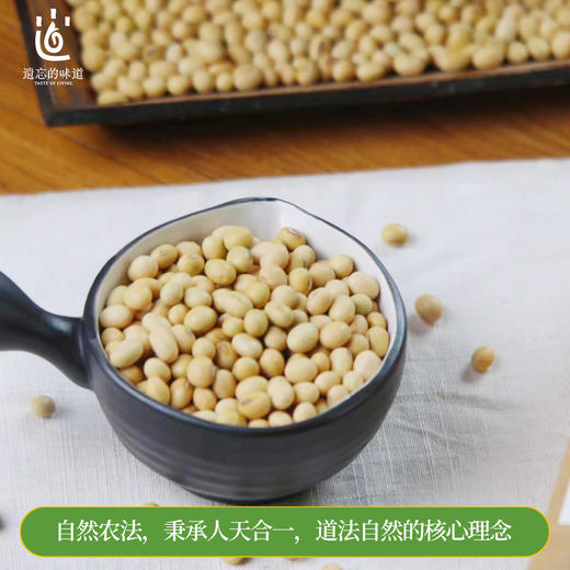 【2025新粮】黄豆 500g 商品图3
