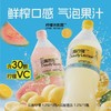柠檬共和国 复合气泡果汁到手1.25L*6瓶装 饮料大容量 商品缩略图0