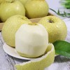 甜果源源 砀山酥梨【顺丰】 商品缩略图1