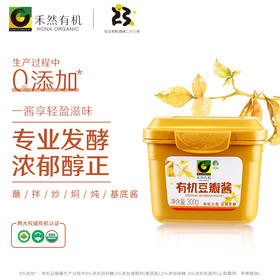 禾然有机 豆瓣酱/新/盒装  300g