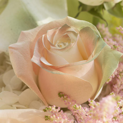 天秤座4款幸运花束｜十二星座随心定制系列 商品图5