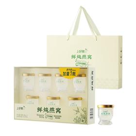 上好燕鲜炖燕窝